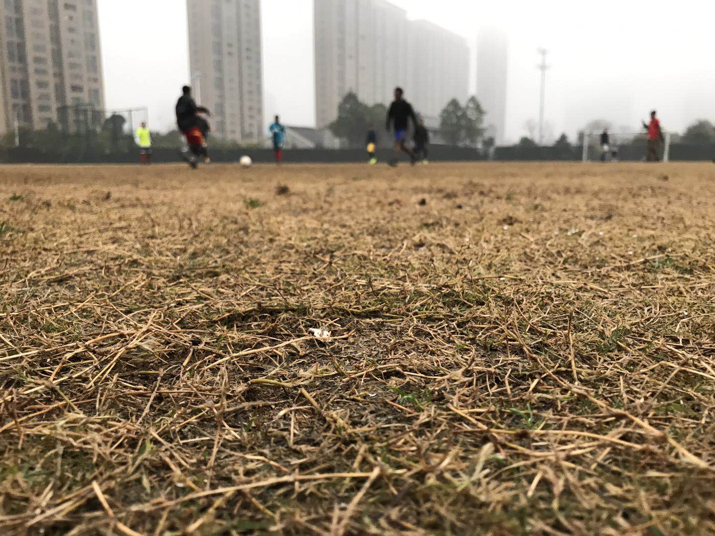 一起踢足球⚽️